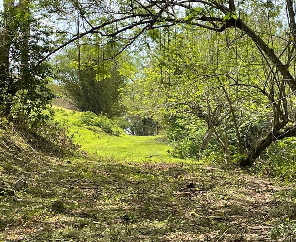 Seventeenth image of Green Island in Green Island, Hanover, Jamaica - property is For Sale