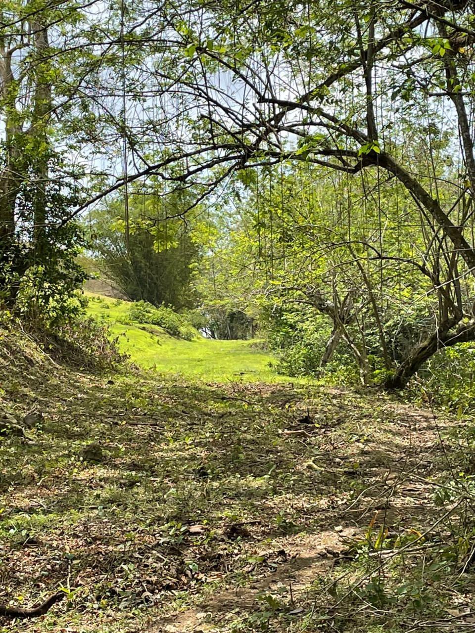 Seventeenth image of Green Island in Green Island, Hanover, Jamaica - property is For Sale