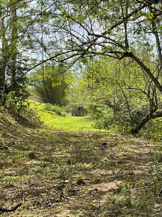 Seventeenth image of Green Island in Green Island, Hanover, Jamaica - property is For Sale