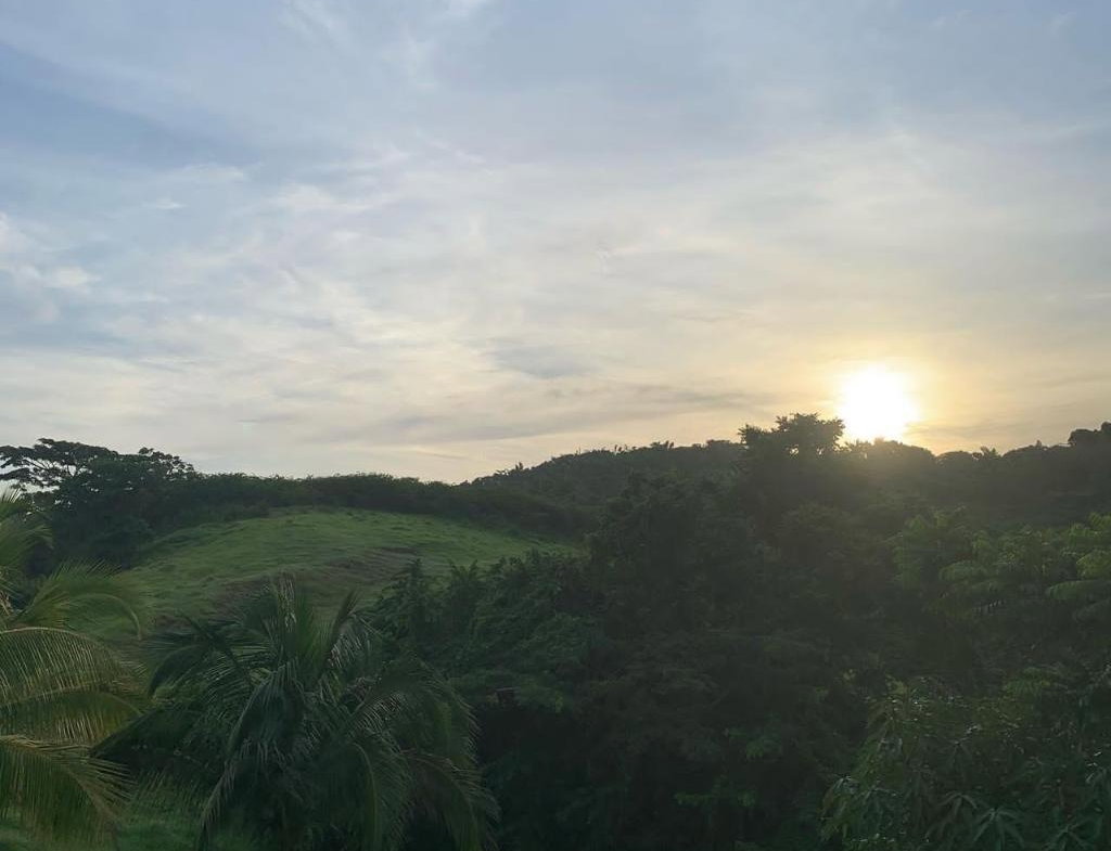 Eighteenth image of Green Island in Green Island, Hanover, Jamaica - property is For Sale