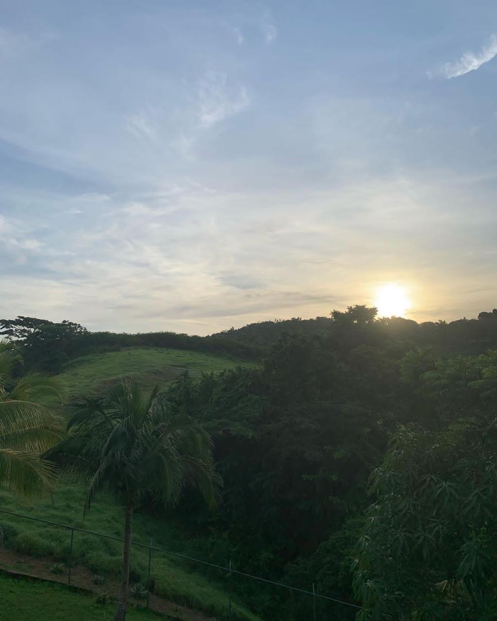 Eighteenth image of Green Island in Green Island, Hanover, Jamaica - property is For Sale