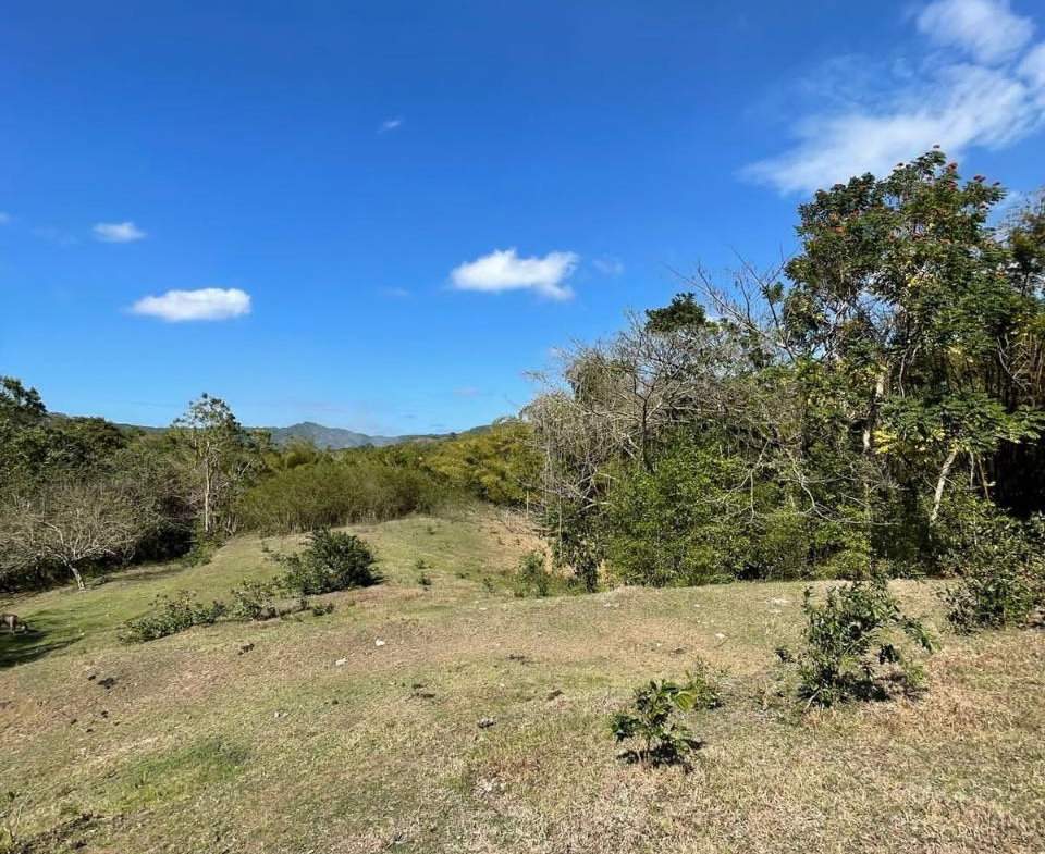 Nineteenth image of Green Island in Green Island, Hanover, Jamaica - property is For Sale