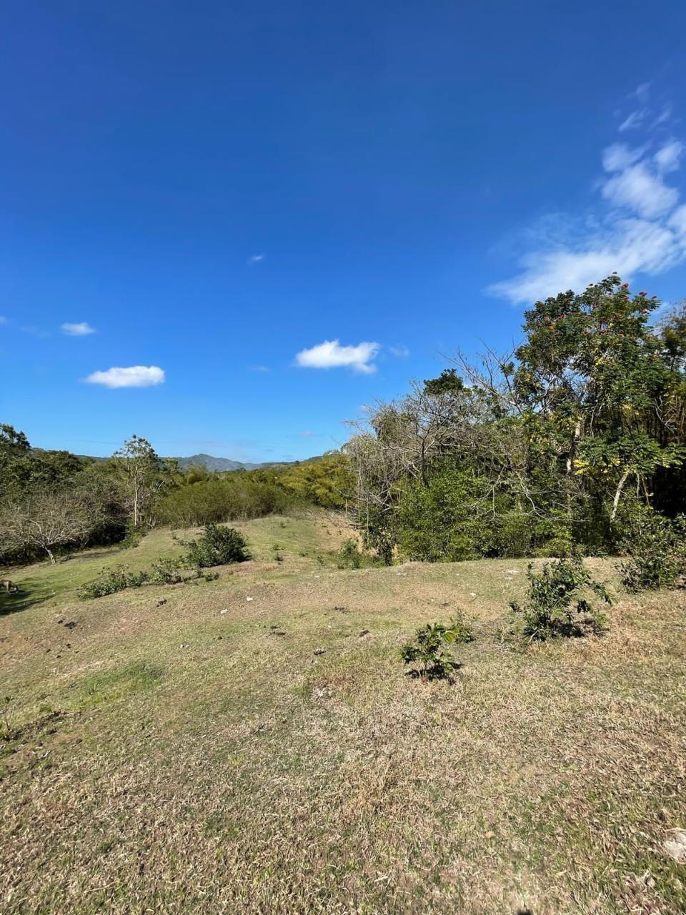 Nineteenth image of Green Island in Green Island, Hanover, Jamaica - property is For Sale