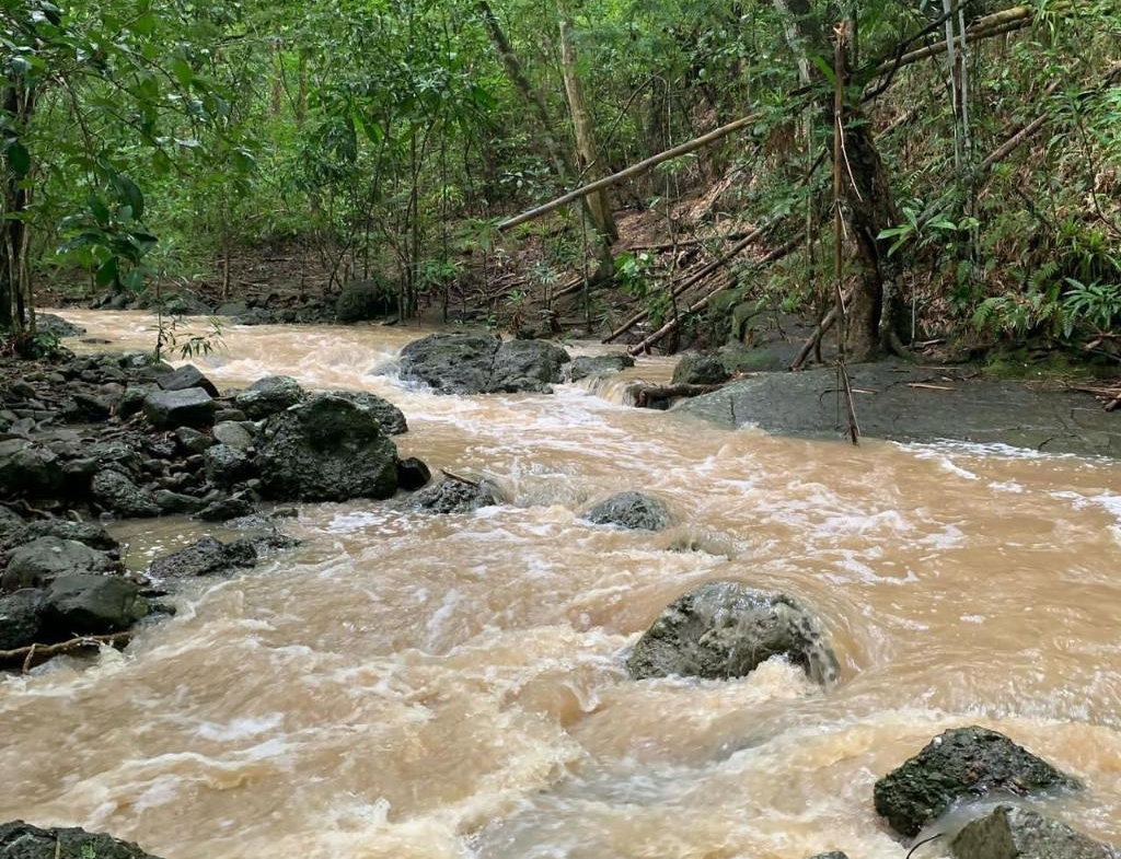 Twentieth image of Green Island in Green Island, Hanover, Jamaica - property is For Sale