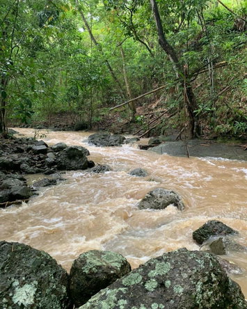 Twentieth image of Green Island in Green Island, Hanover, Jamaica - property is For Sale