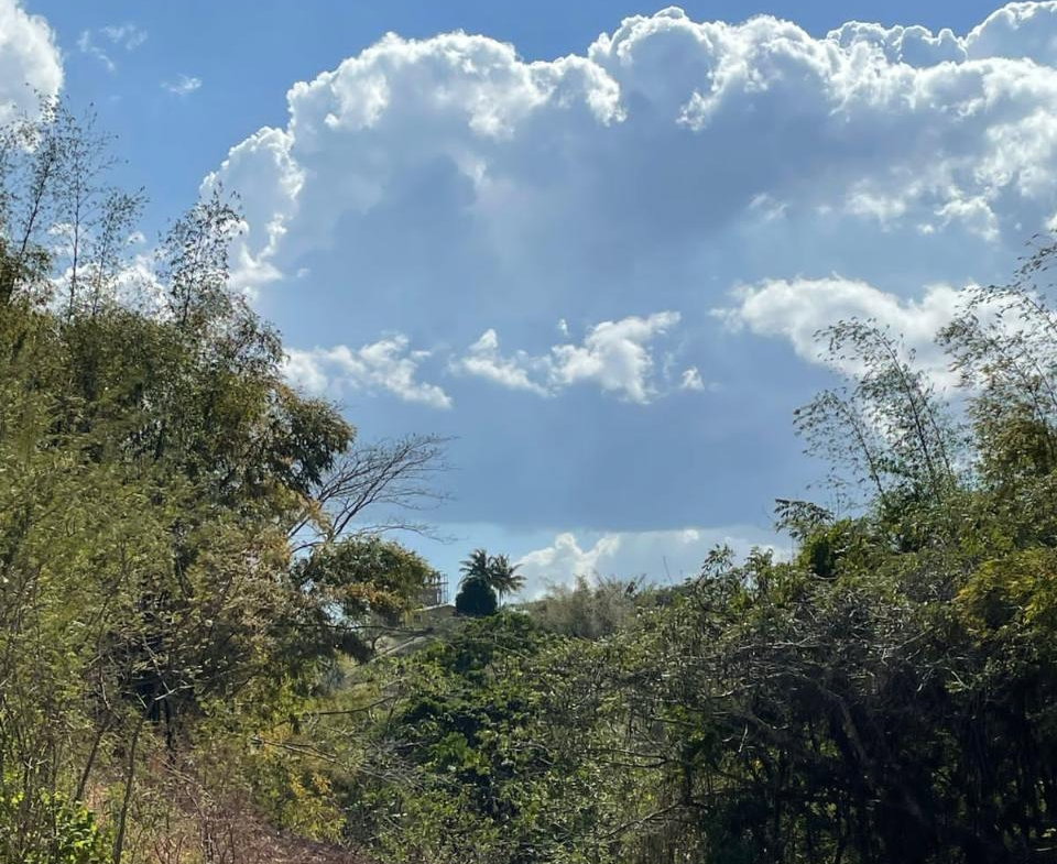 Twenty-Second image of Green Island in Green Island, Hanover, Jamaica - property is For Sale