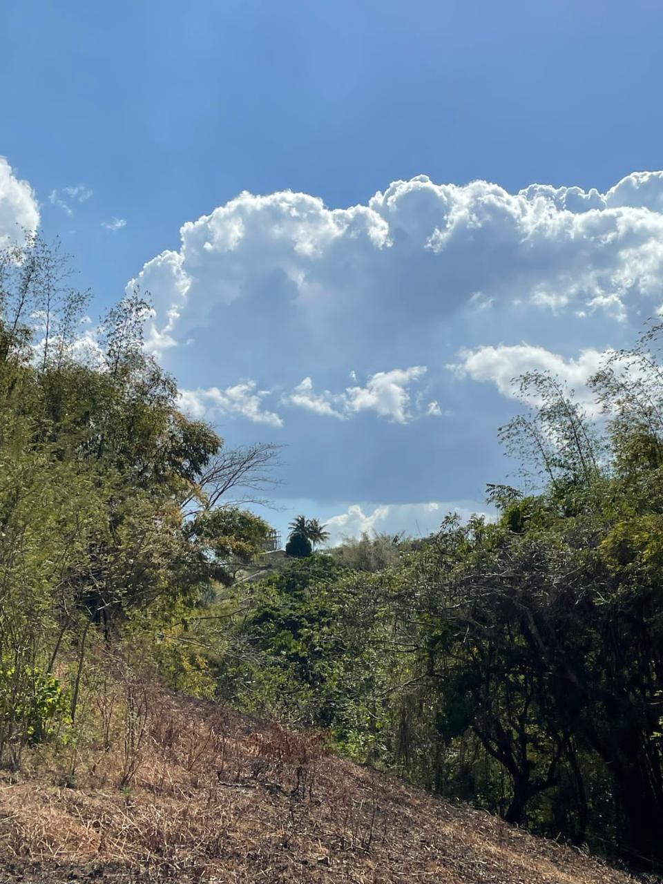 Twenty-Second image of Green Island in Green Island, Hanover, Jamaica - property is For Sale