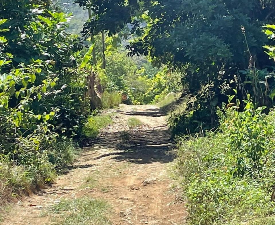 Twenty-Third image of Green Island in Green Island, Hanover, Jamaica - property is For Sale