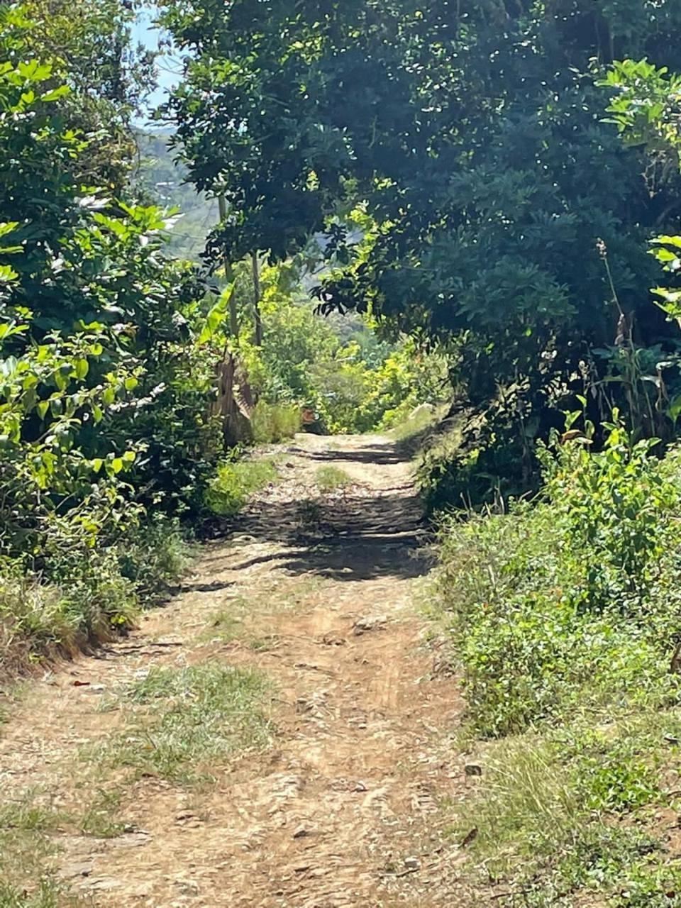 Twenty-Third image of Green Island in Green Island, Hanover, Jamaica - property is For Sale