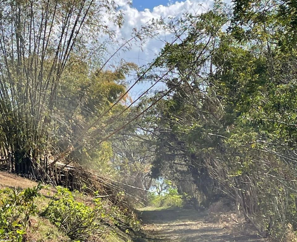 Twenty-Fourth image of Green Island in Green Island, Hanover, Jamaica - property is For Sale