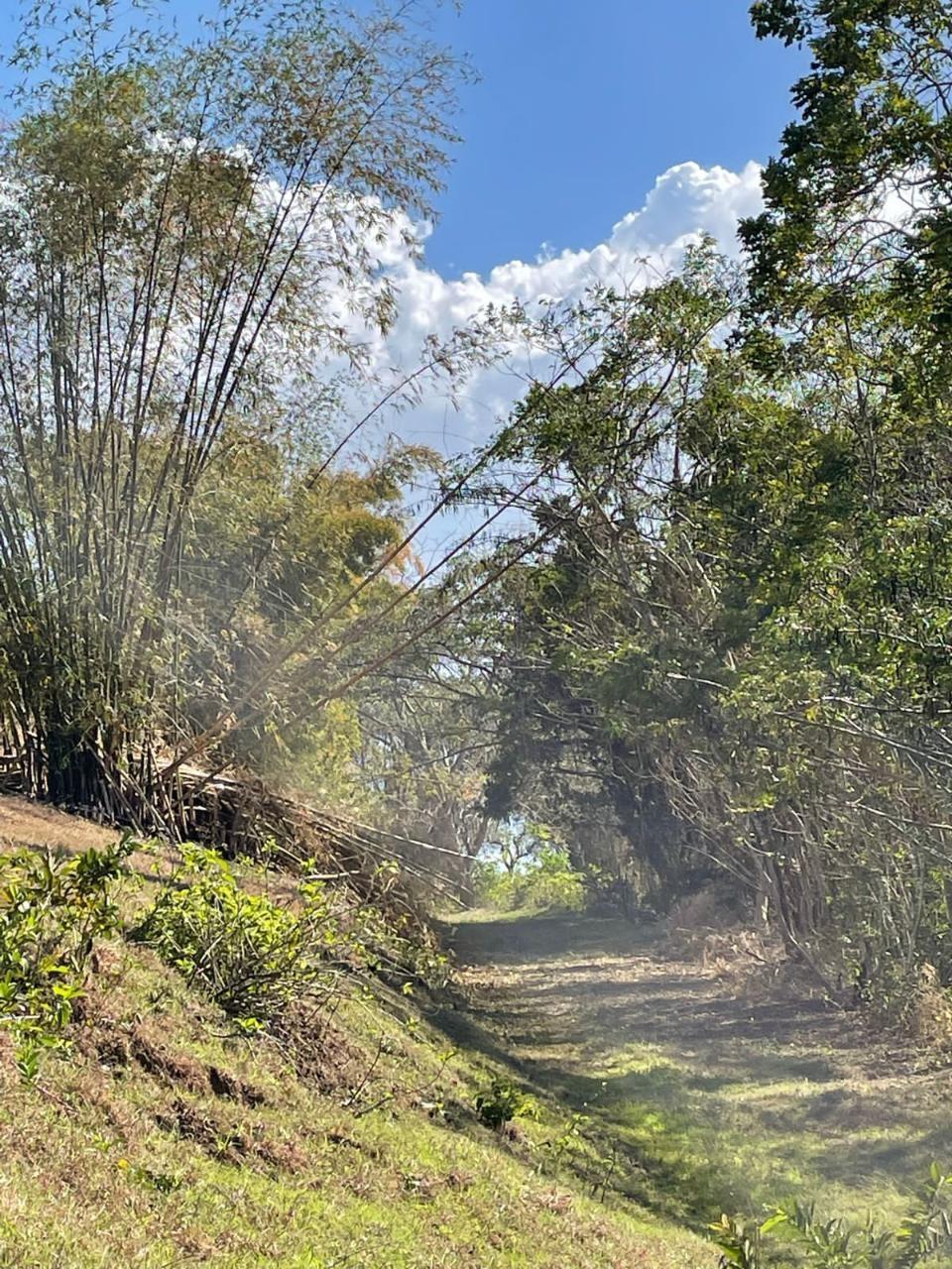 Twenty-Fourth image of Green Island in Green Island, Hanover, Jamaica - property is For Sale