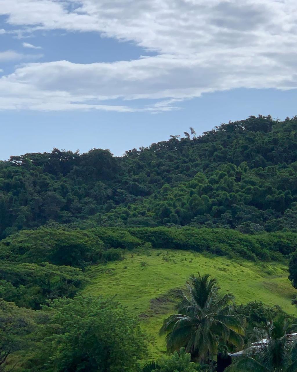 Twenty-Fifth image of Green Island in Green Island, Hanover, Jamaica - property is For Sale