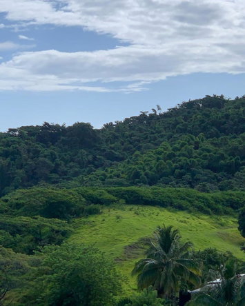 Twenty-Fifth image of Green Island in Green Island, Hanover, Jamaica - property is For Sale