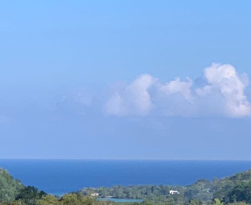 Twenty-Sixth image of Green Island in Green Island, Hanover, Jamaica - property is For Sale
