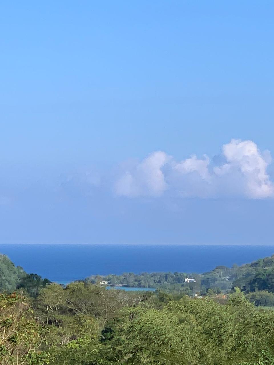 Twenty-Sixth image of Green Island in Green Island, Hanover, Jamaica - property is For Sale