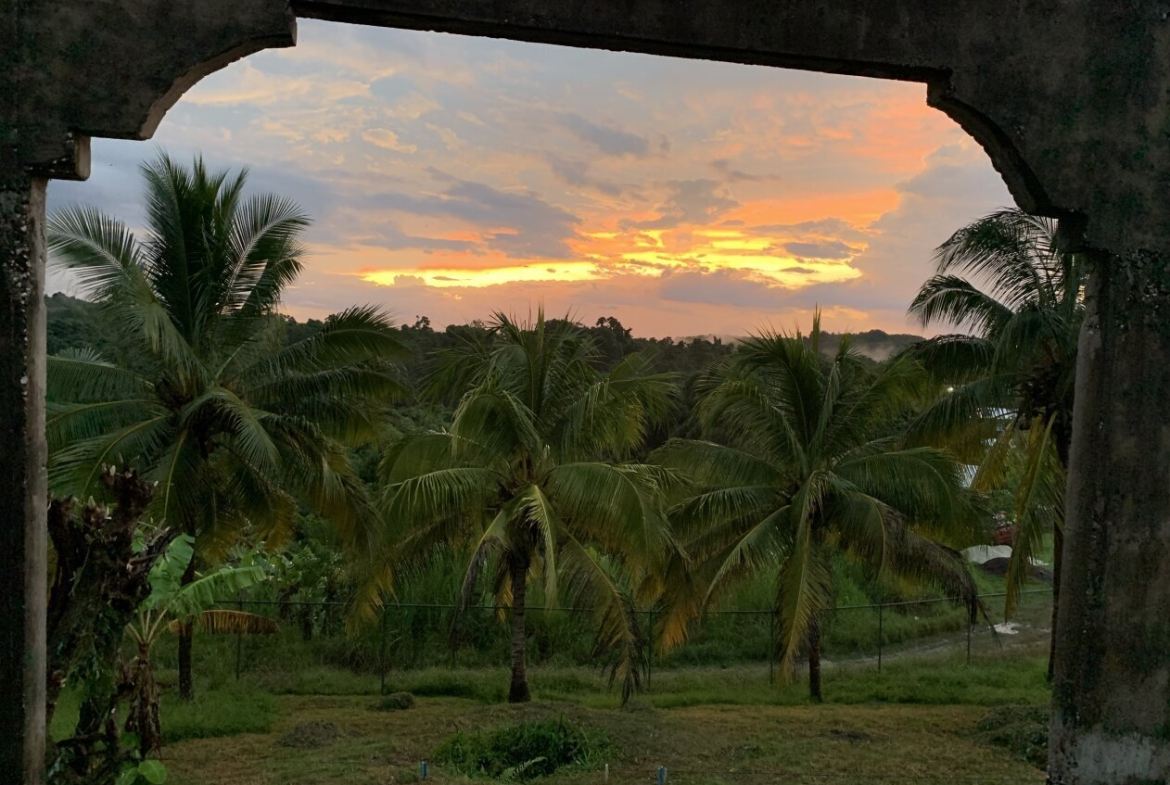 Ninth image of Green Island in Green Island, Hanover, Jamaica - property is For Sale