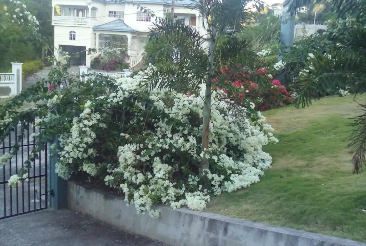 Seventh image of 149 Tripoli Drive in Runaway Bay, St. Ann, Jamaica - property is For Sale