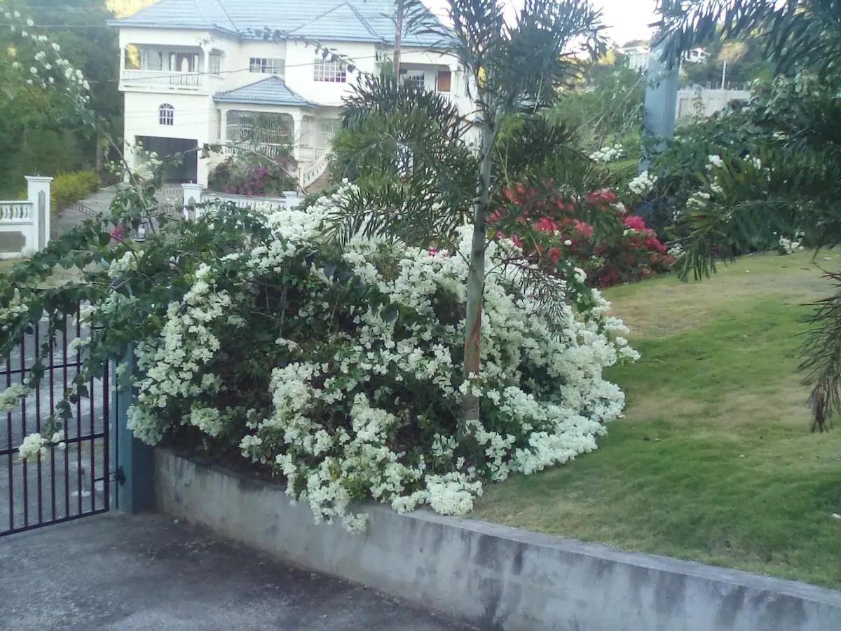 Exclusive-Geodesic-Dome-Villa-for-Sale-in-Runaway-Bay-Jamaica Seventh image of 149 Tripoli Drive in Runaway Bay, St. Ann, Jamaica - property is For Sale