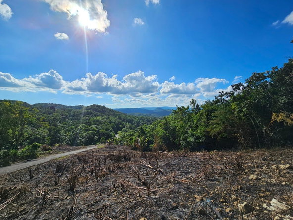 Seventh image of Sligoville Road in Sligoville, St. Catherine, Jamaica - property is For Sale