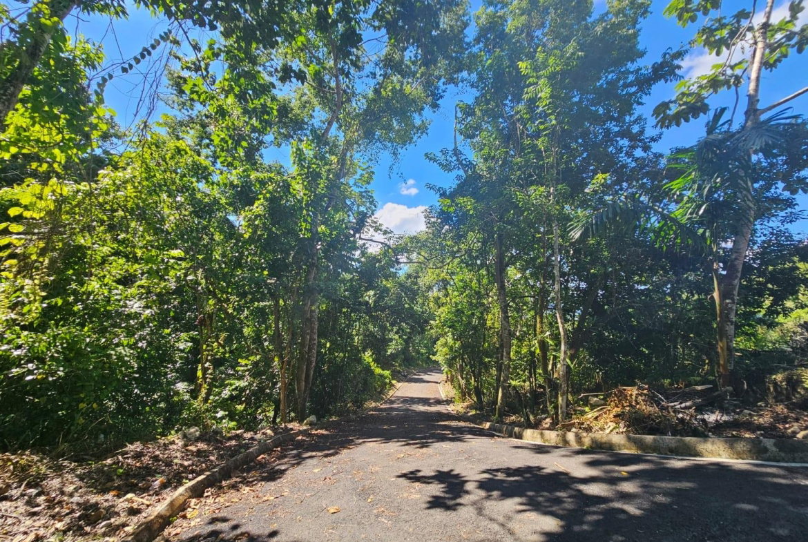 Fifth image of Sligoville Road in Sligoville, St. Catherine, Jamaica - property is For Sale