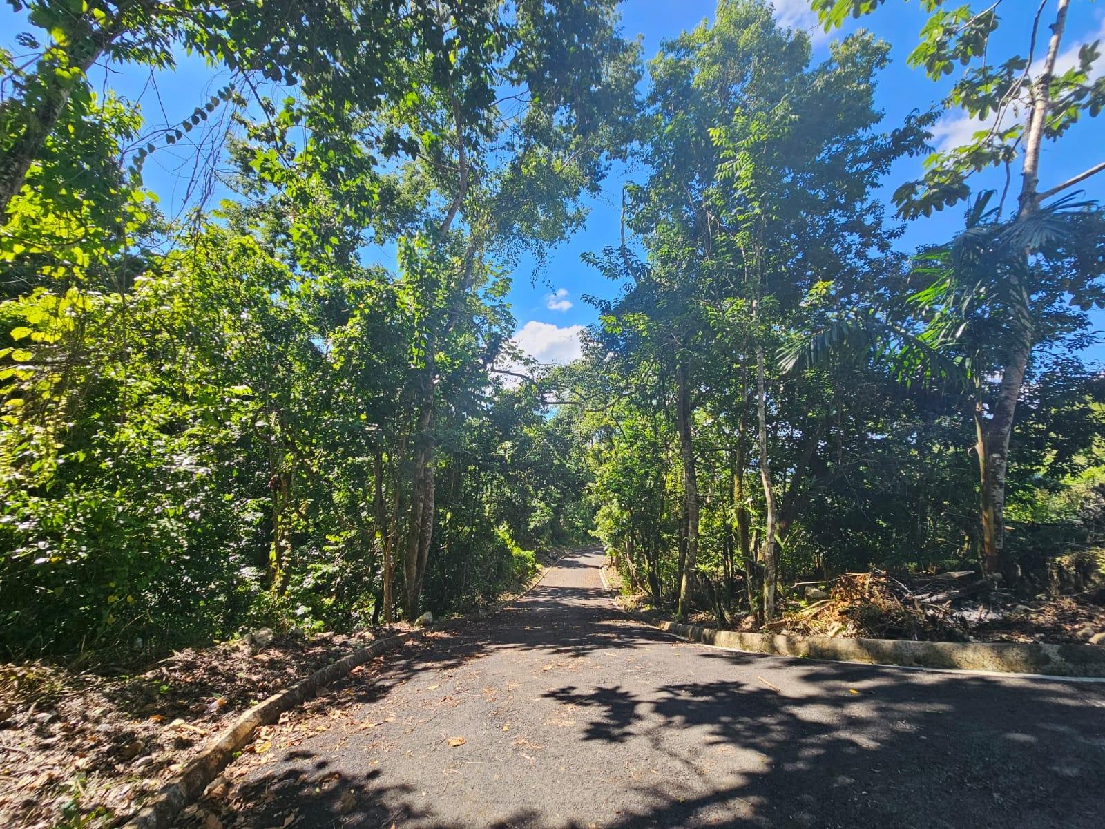 Fifth image of Sligoville Road in Sligoville, St. Catherine, Jamaica - property is For Sale