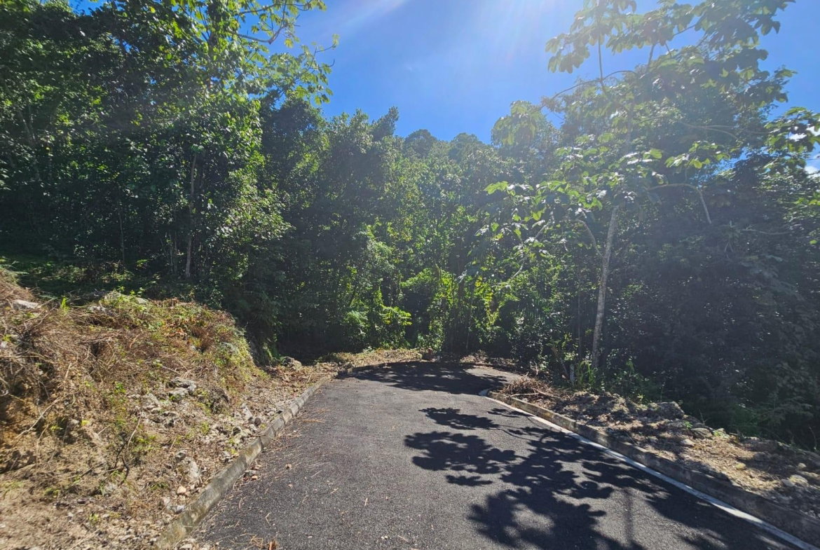 Sixth image of Sligoville Road in Sligoville, St. Catherine, Jamaica - property is For Sale