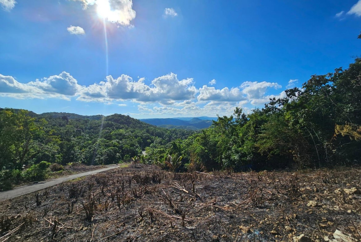 Seventh image of Sligoville Road in Sligoville, St. Catherine, Jamaica - property is For Sale