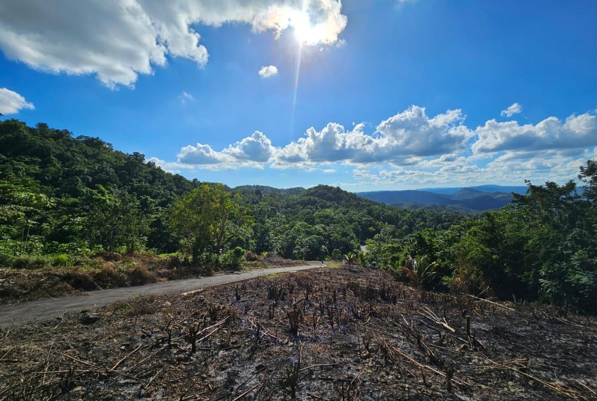 Eighth image of Sligoville Road in Sligoville, St. Catherine, Jamaica - property is For Sale