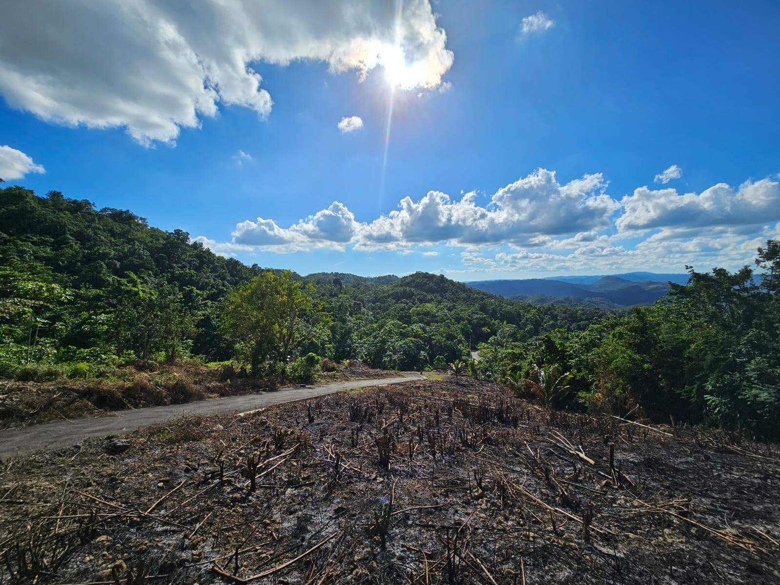 Eighth image of Sligoville Road in Sligoville, St. Catherine, Jamaica - property is For Sale