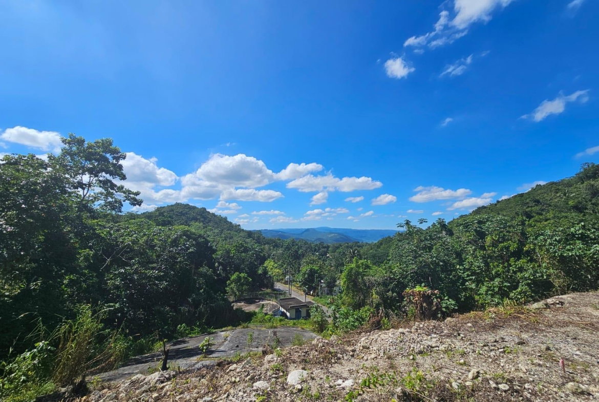 Twelfth image of Sligoville Road in Sligoville, St. Catherine, Jamaica - property is For Sale