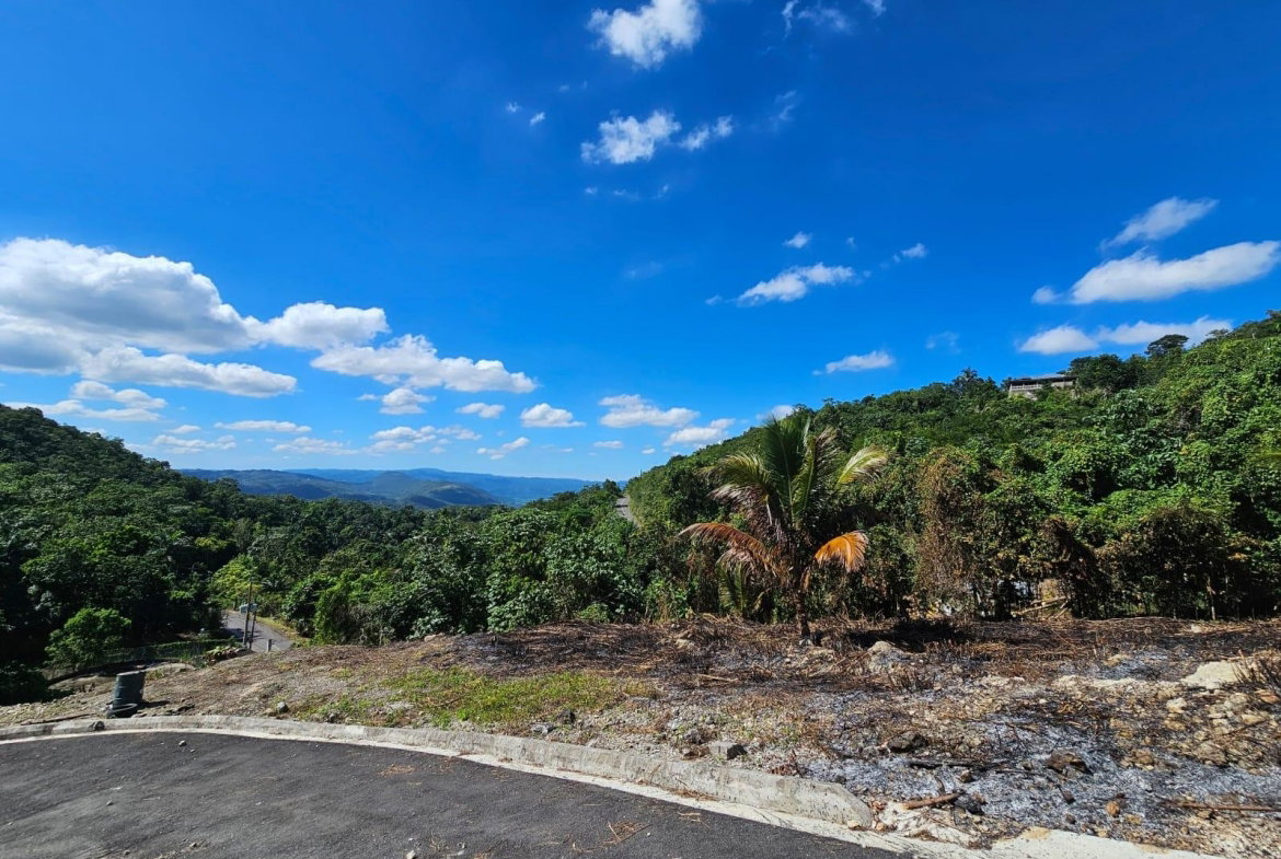 Fourteenth image of Sligoville Road in Sligoville, St. Catherine, Jamaica - property is For Sale