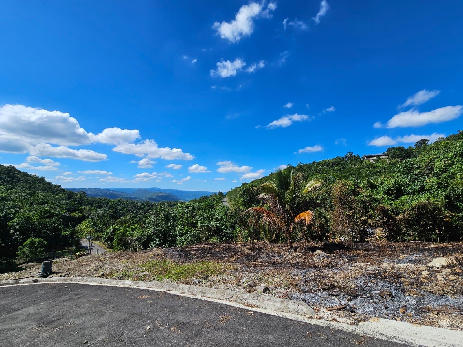 Fourteenth image of Sligoville Road in Sligoville, St. Catherine, Jamaica - property is For Sale