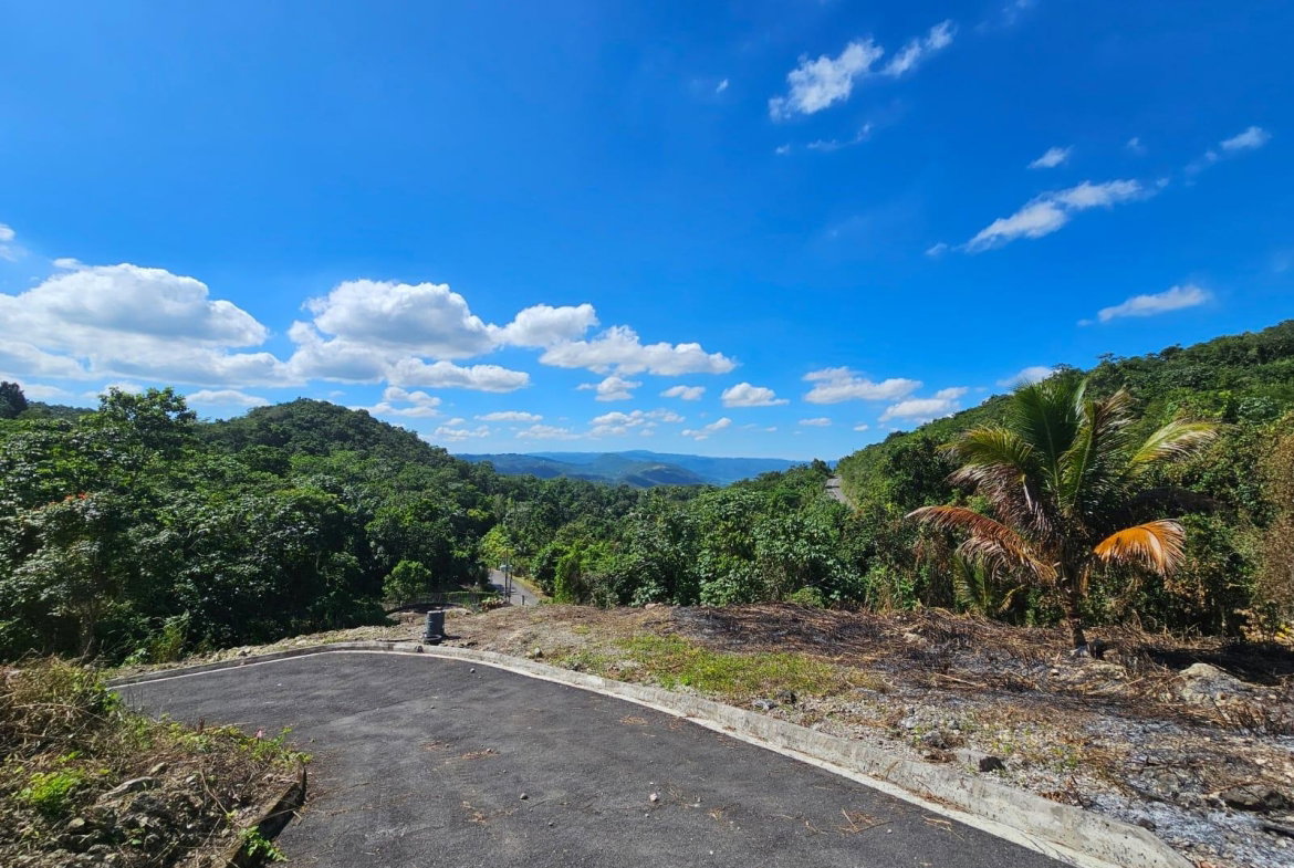 Fifteenth image of Sligoville Road in Sligoville, St. Catherine, Jamaica - property is For Sale