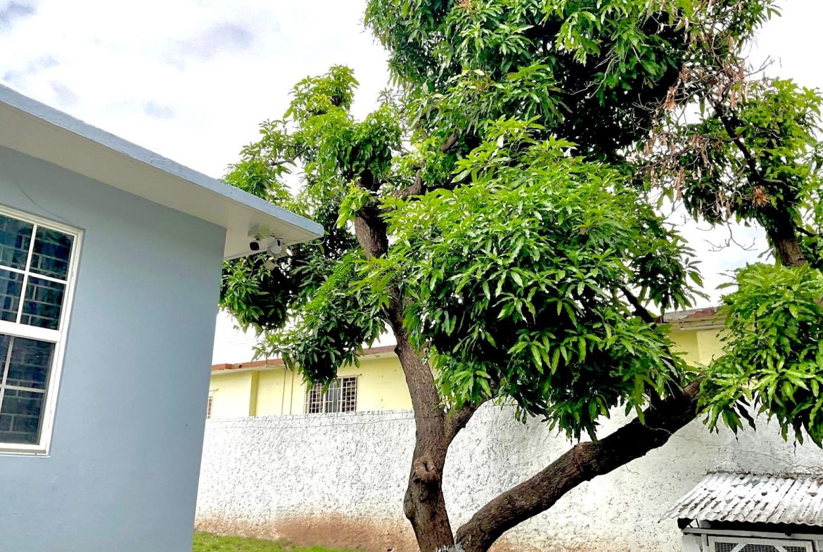 Twenty-Sixth image of 17 Meadowland Drive in Kingston 19, St. Andrew, Jamaica - property is For Sale