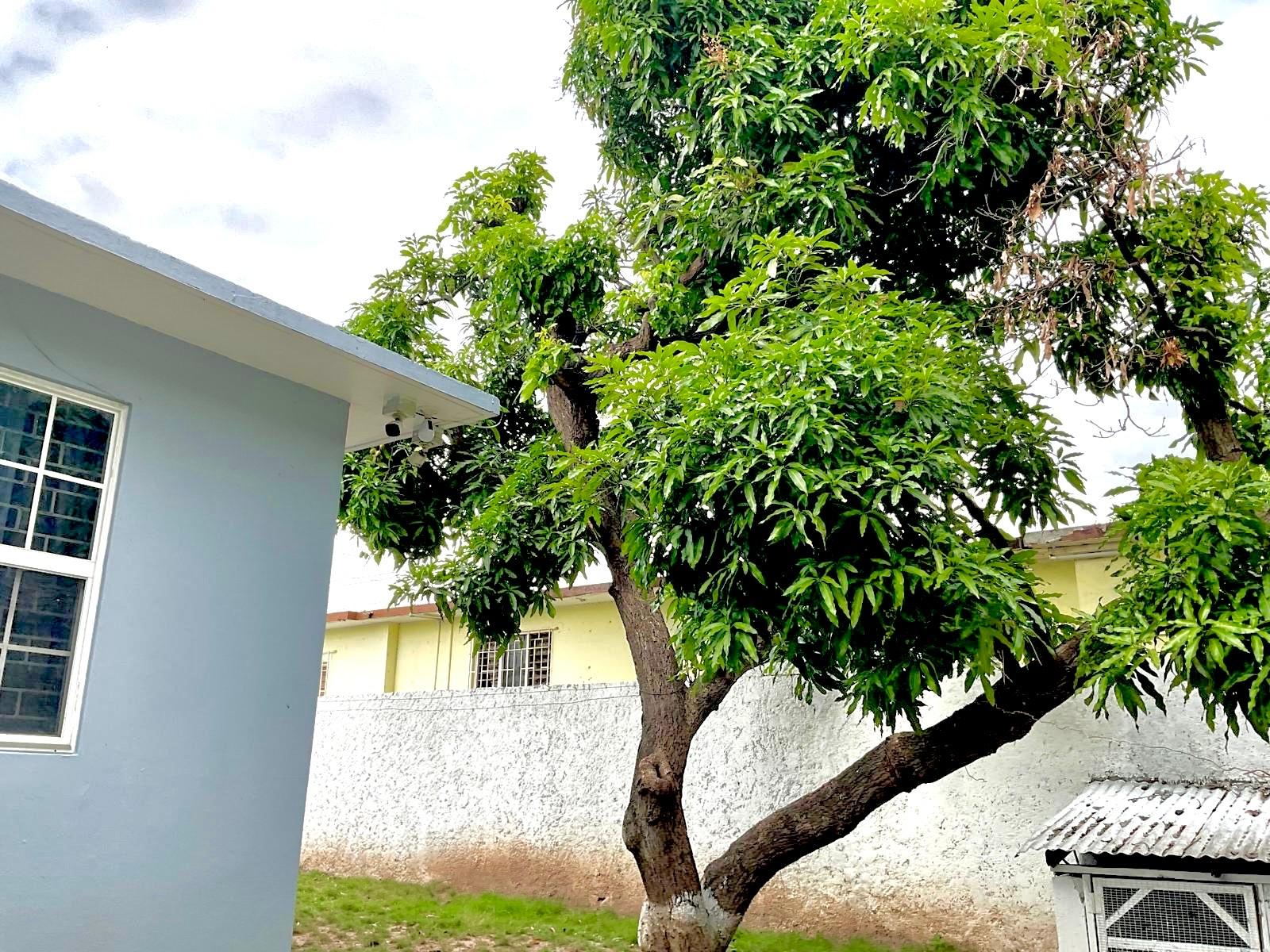 Exquisite-5-Bedroom-House-for-Sale-in-Meadowbrook-Jamaica Twenty-Sixth image of 17 Meadowland Drive in Kingston 19, St. Andrew, Jamaica - property is For Sale
