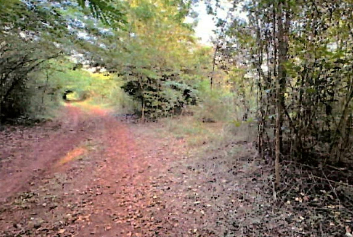 Second image of Lot 67 Spring Garden, Bushy Park in Spring Garden, St. Catherine, Jamaica - property is For Sale