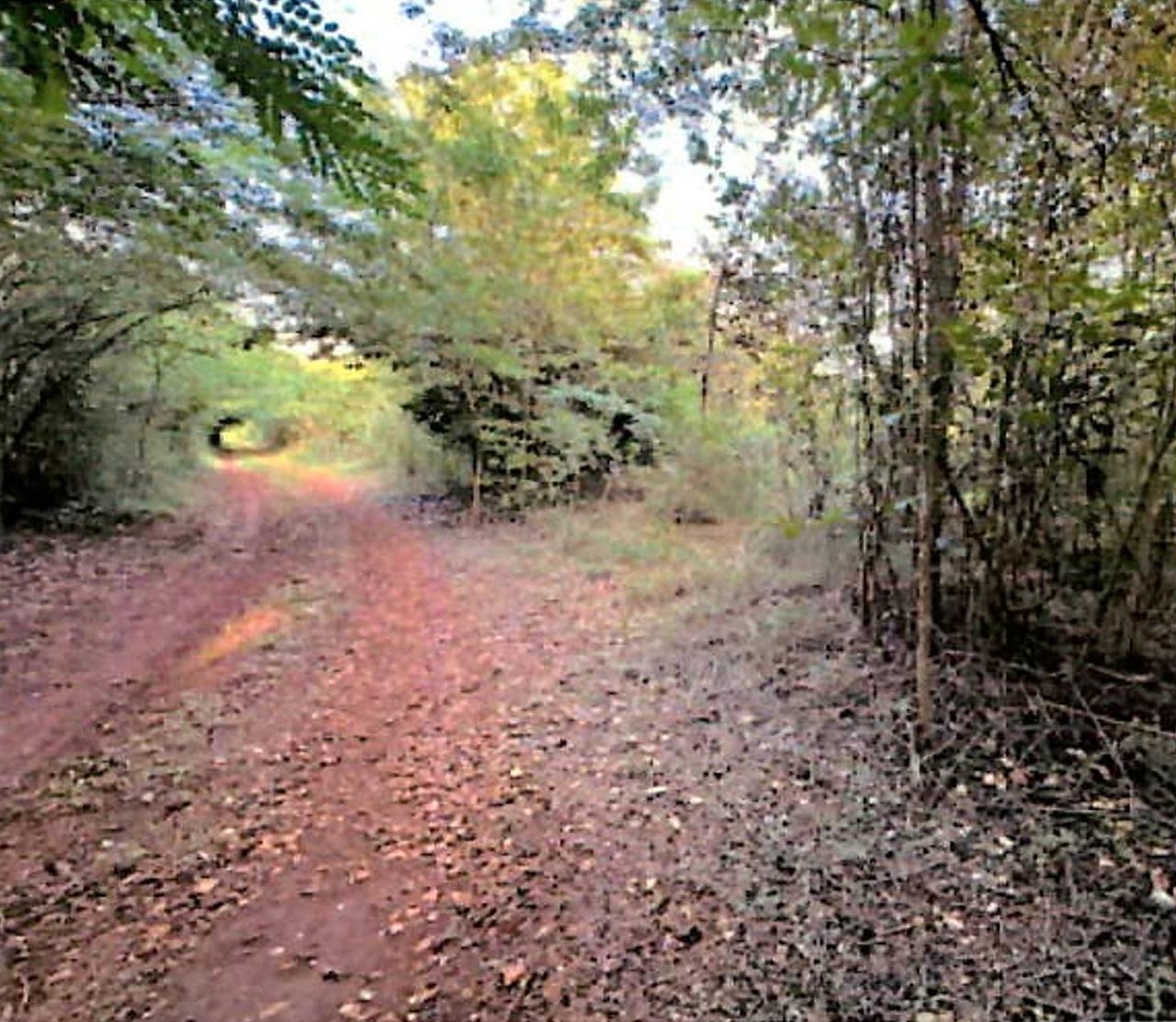 Second image of Lot 67 Spring Garden, Bushy Park in Spring Garden, St. Catherine, Jamaica - property is For Sale