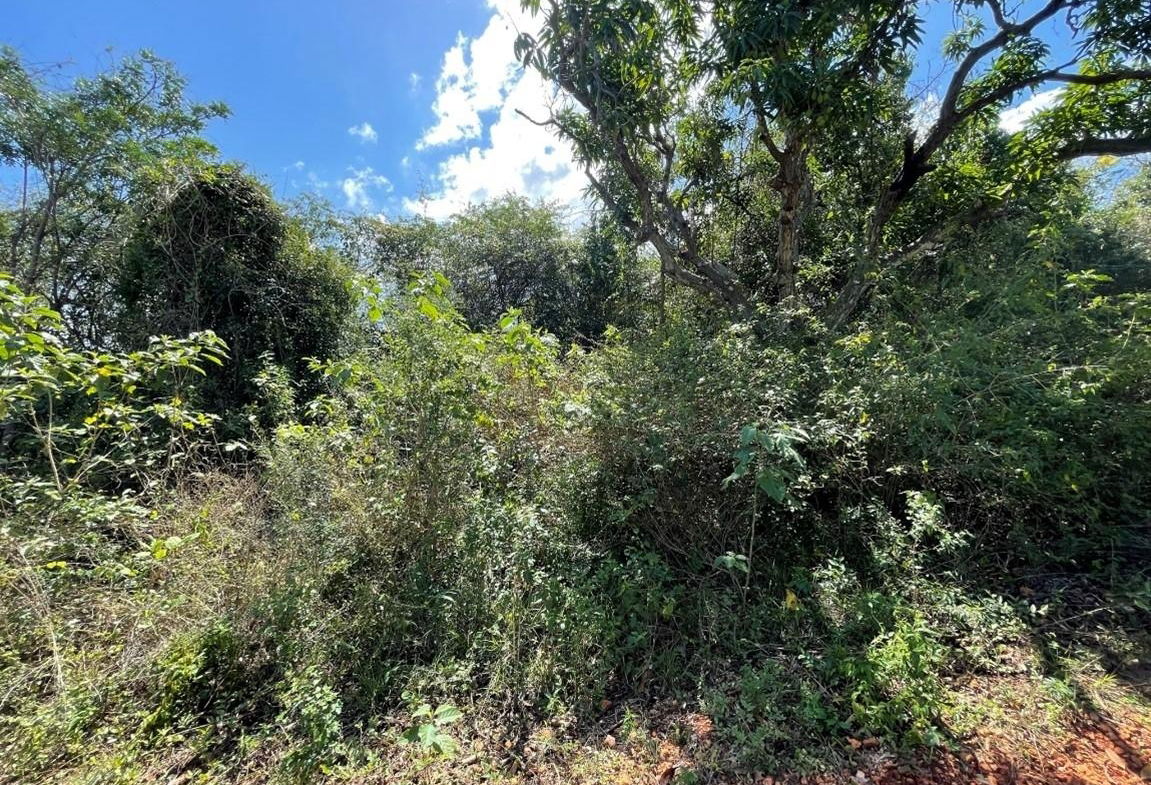 Eleventh image of Lot 67 Spring Garden, Bushy Park in Spring Garden, St. Catherine, Jamaica - property is For Sale
