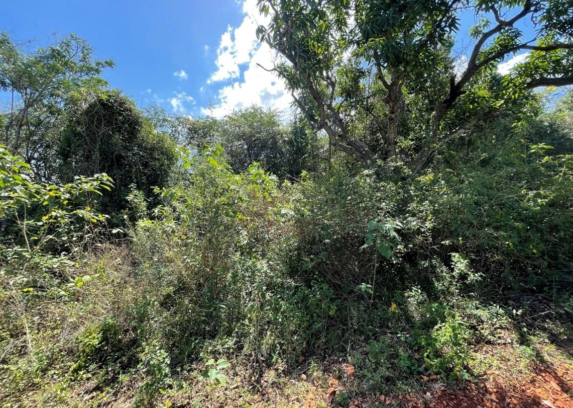 Eleventh image of Lot 67 Spring Garden, Bushy Park in Spring Garden, St. Catherine, Jamaica - property is For Sale