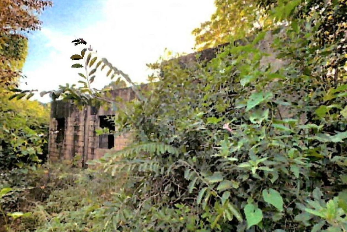 Fourth image of Lot 67 Spring Garden, Bushy Park in Spring Garden, St. Catherine, Jamaica - property is For Sale