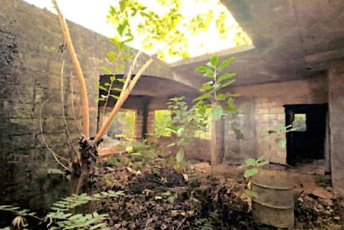 Seventh image of Lot 67 Spring Garden, Bushy Park in Spring Garden, St. Catherine, Jamaica - property is For Sale