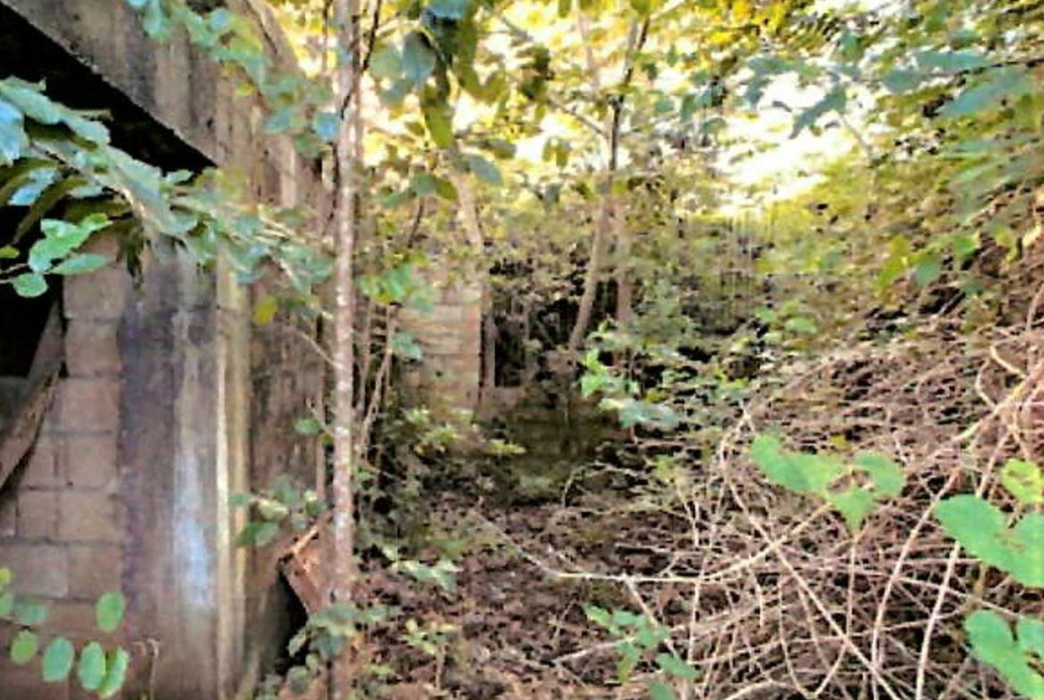 Eighth image of Lot 67 Spring Garden, Bushy Park in Spring Garden, St. Catherine, Jamaica - property is For Sale