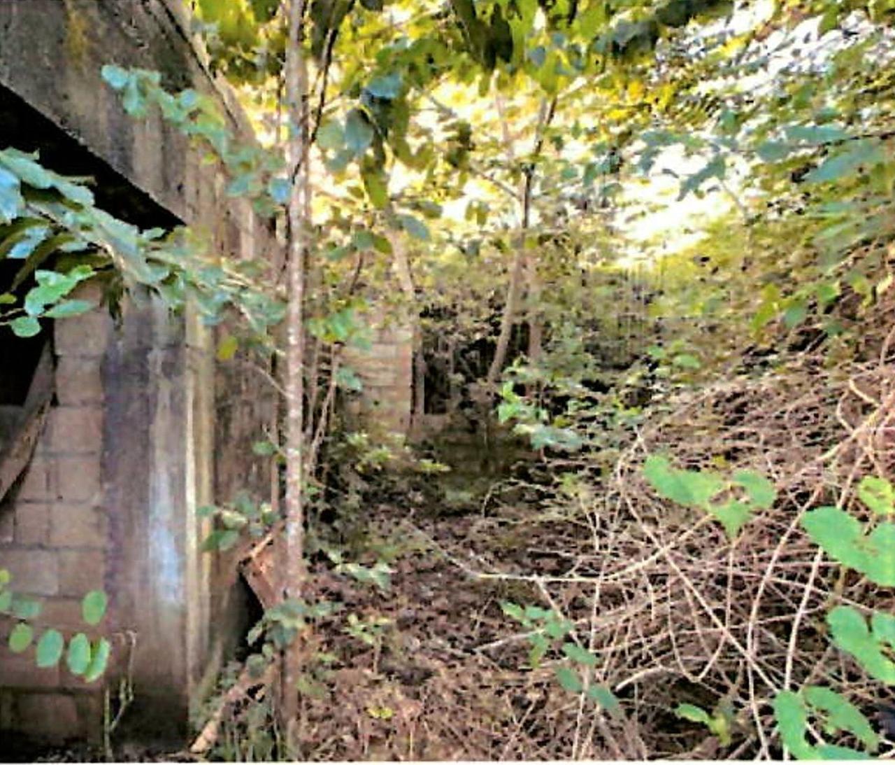 Eighth image of Lot 67 Spring Garden, Bushy Park in Spring Garden, St. Catherine, Jamaica - property is For Sale