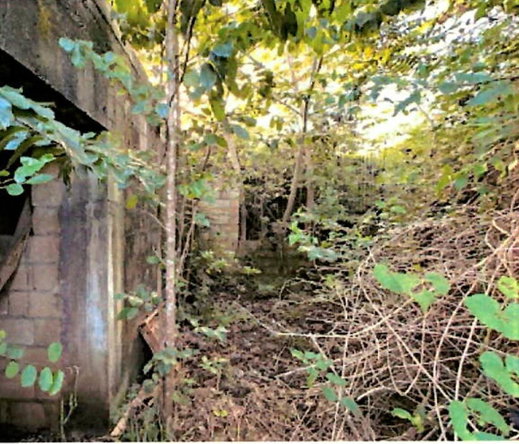 Eighth image of Lot 67 Spring Garden, Bushy Park in Spring Garden, St. Catherine, Jamaica - property is For Sale