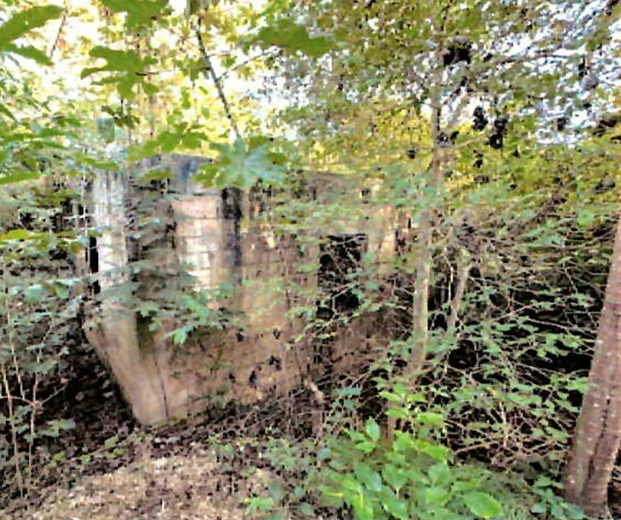 Ninth image of Lot 67 Spring Garden, Bushy Park in Spring Garden, St. Catherine, Jamaica - property is For Sale