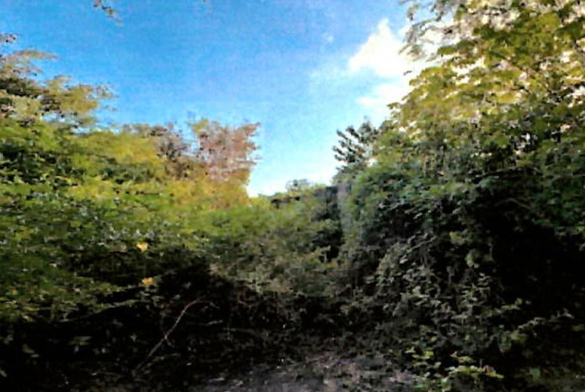 Tenth image of Lot 67 Spring Garden, Bushy Park in Spring Garden, St. Catherine, Jamaica - property is For Sale