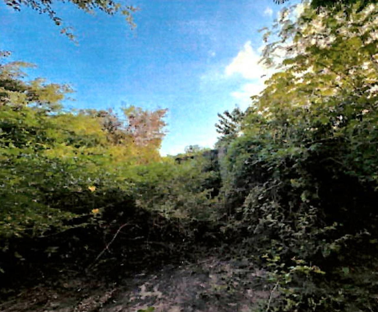 Tenth image of Lot 67 Spring Garden, Bushy Park in Spring Garden, St. Catherine, Jamaica - property is For Sale