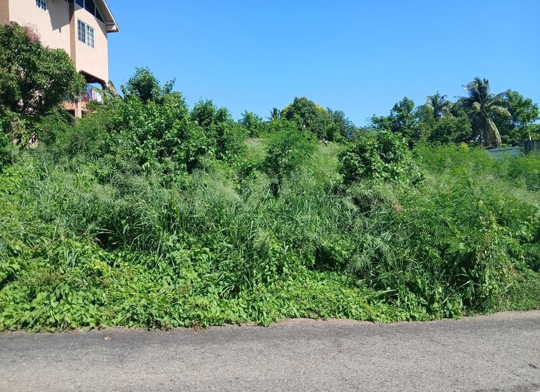 Second image of Lot-1152 St. Hilda Road Green Acre in Golden Acres, St. Catherine, Jamaica - property is For Sale