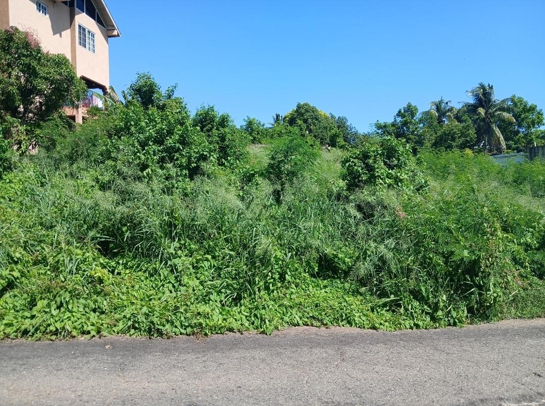 Second image of Lot-1152 St. Hilda Road Green Acre in Golden Acres, St. Catherine, Jamaica - property is For Sale
