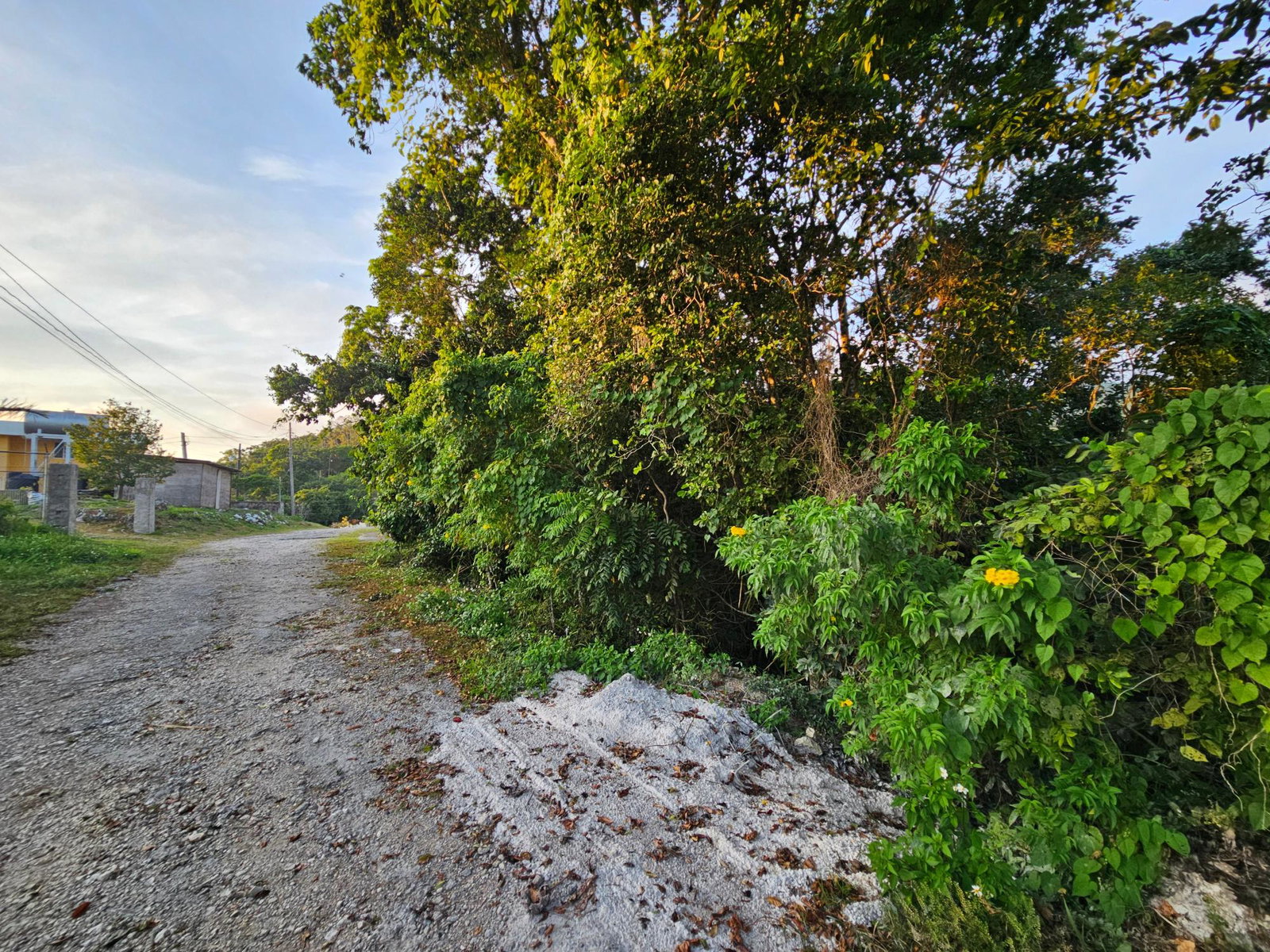 Eleventh image of 43 Woodland Rise, Red Hills in Red Hills, St. Andrew, Jamaica - property is For Sale